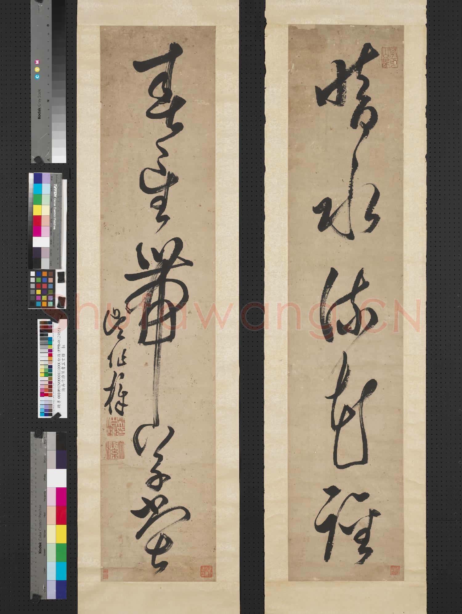 清吳作樟草書五言聯 軸