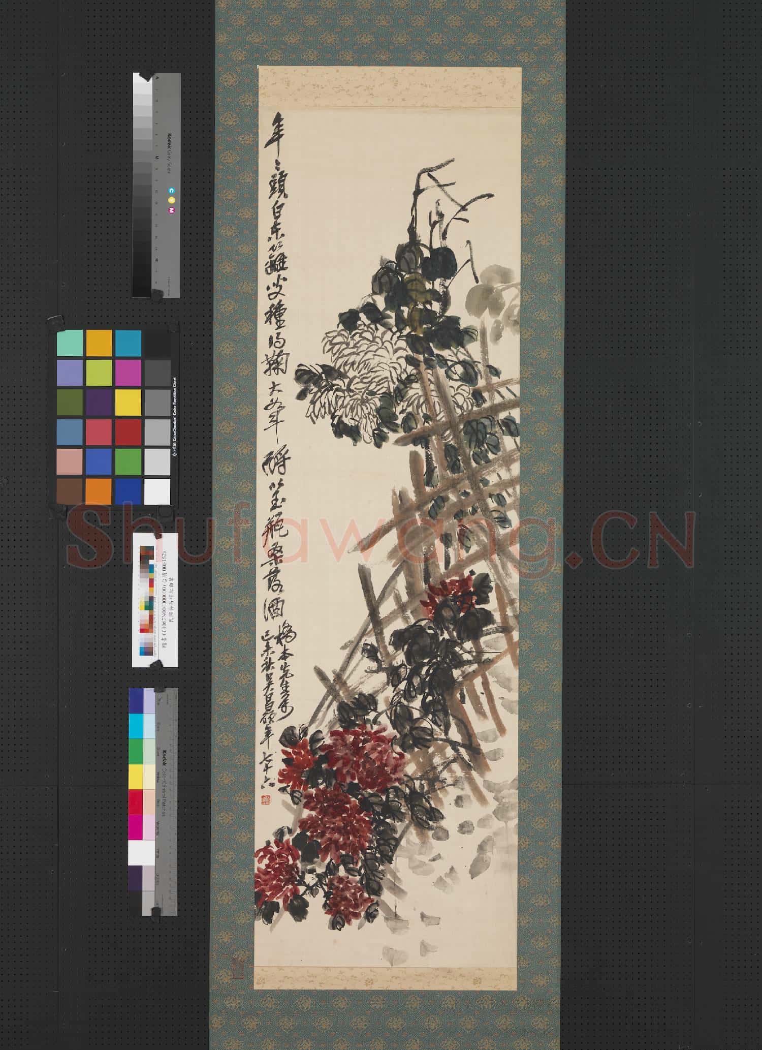 民國吳昌碩紅白菊 軸