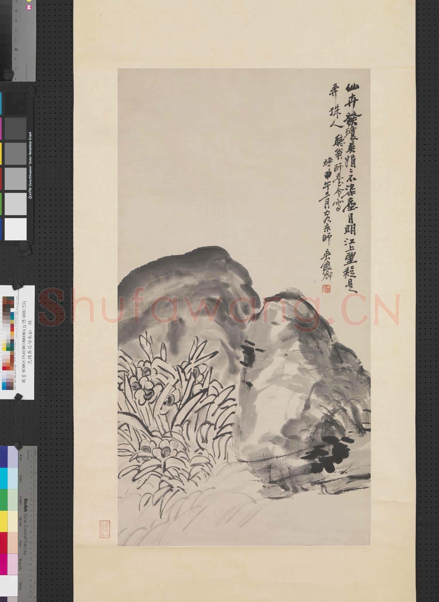 清吳昌碩水仙 軸