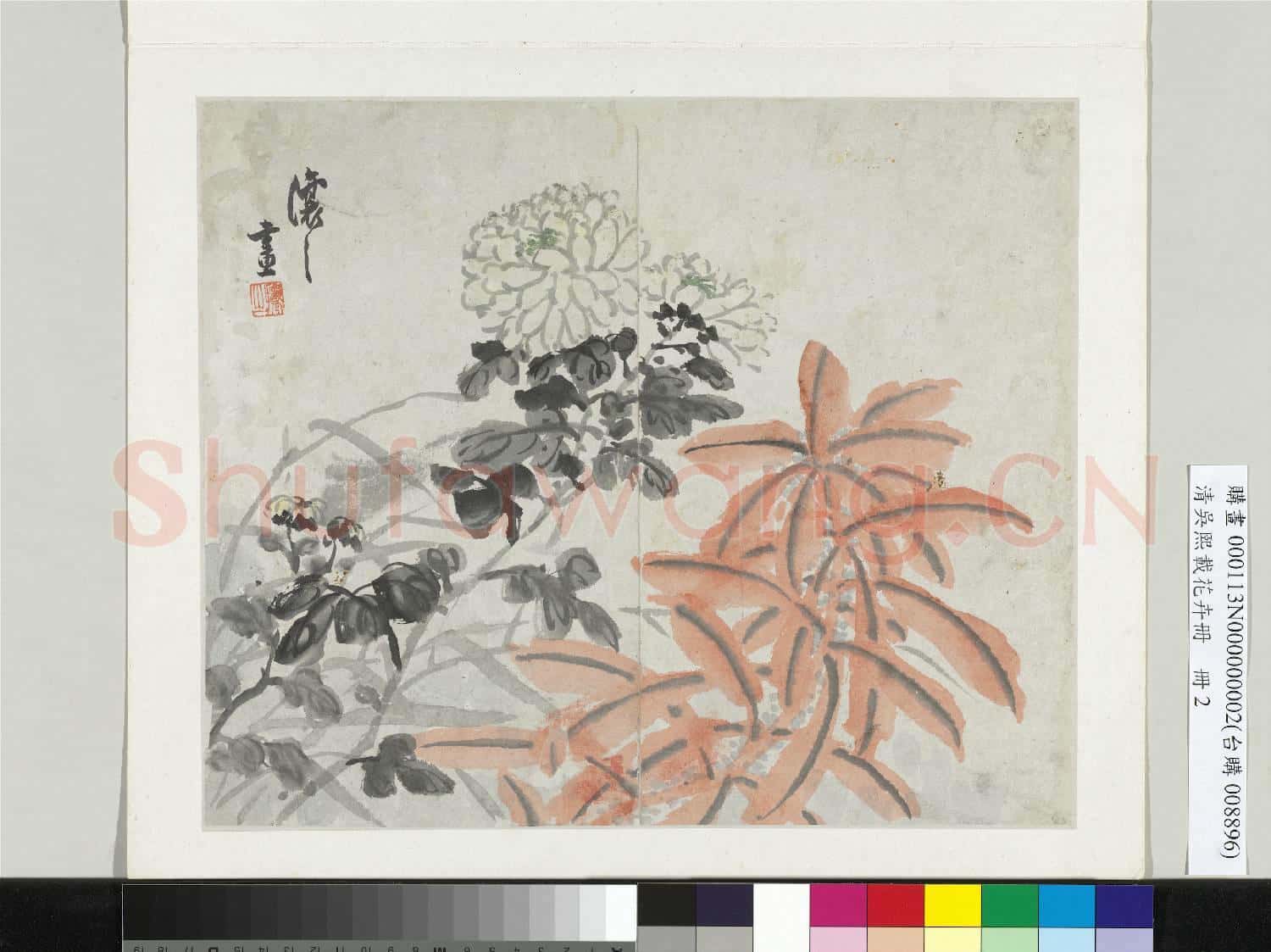 清吳熙載花卉冊 冊 菊花雁來紅