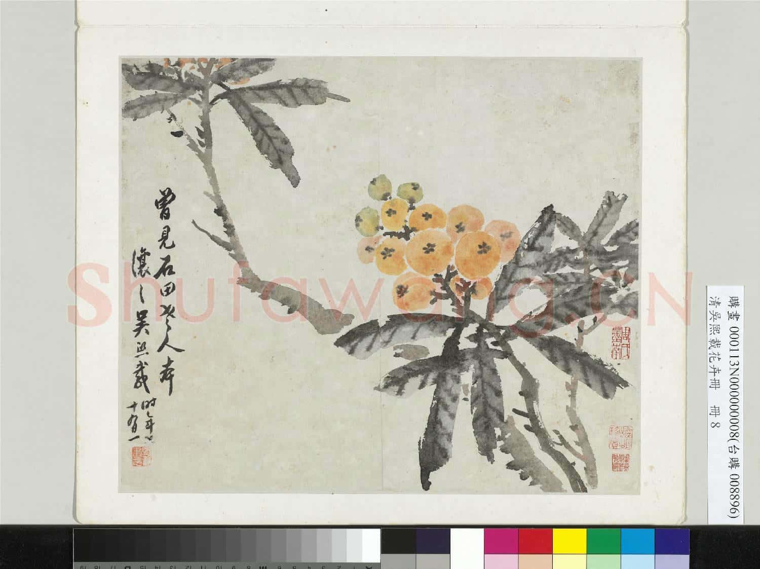清吳熙載花卉冊 冊 枇杷