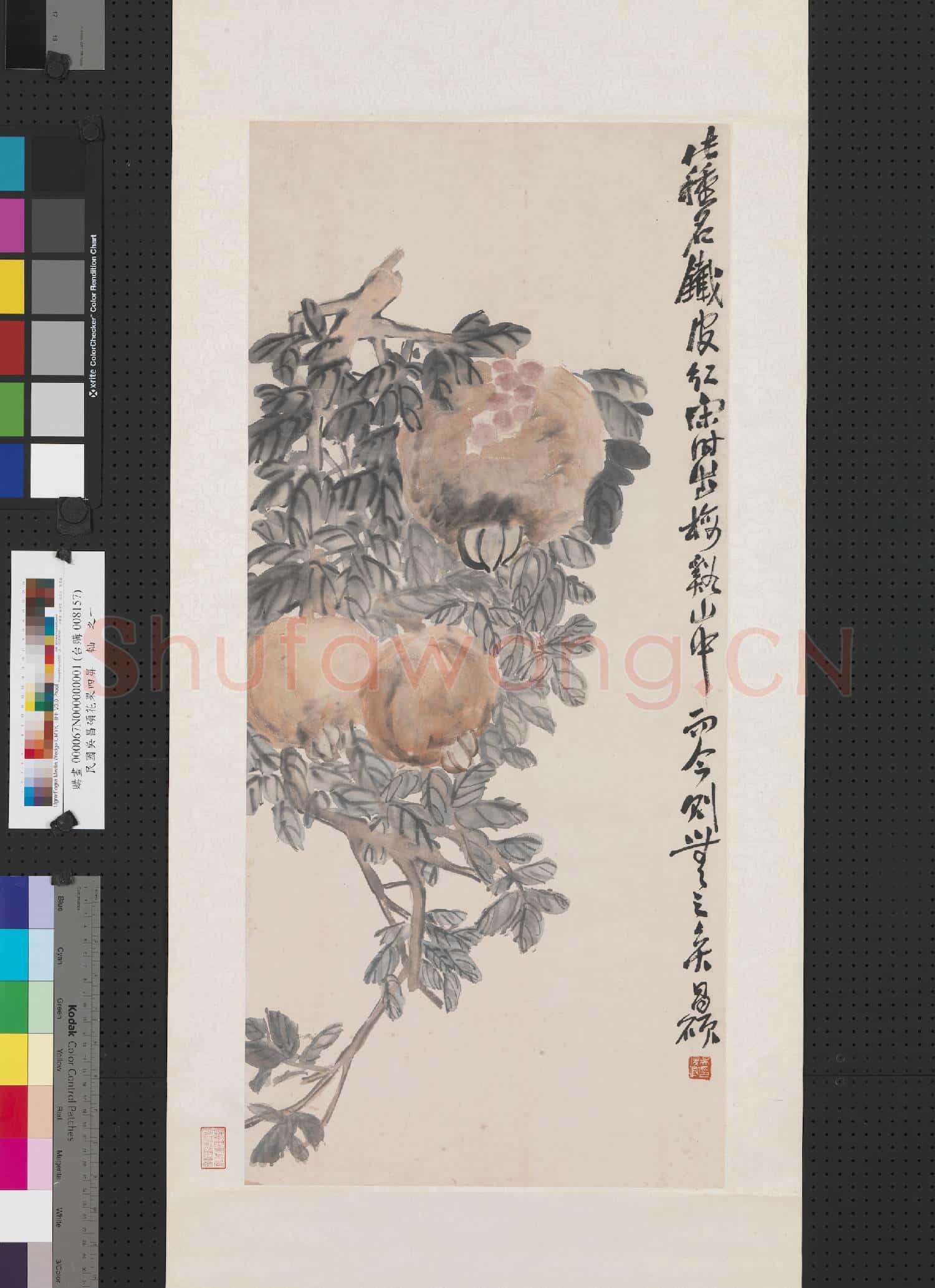清吳昌碩花果四屏 軸 石榴