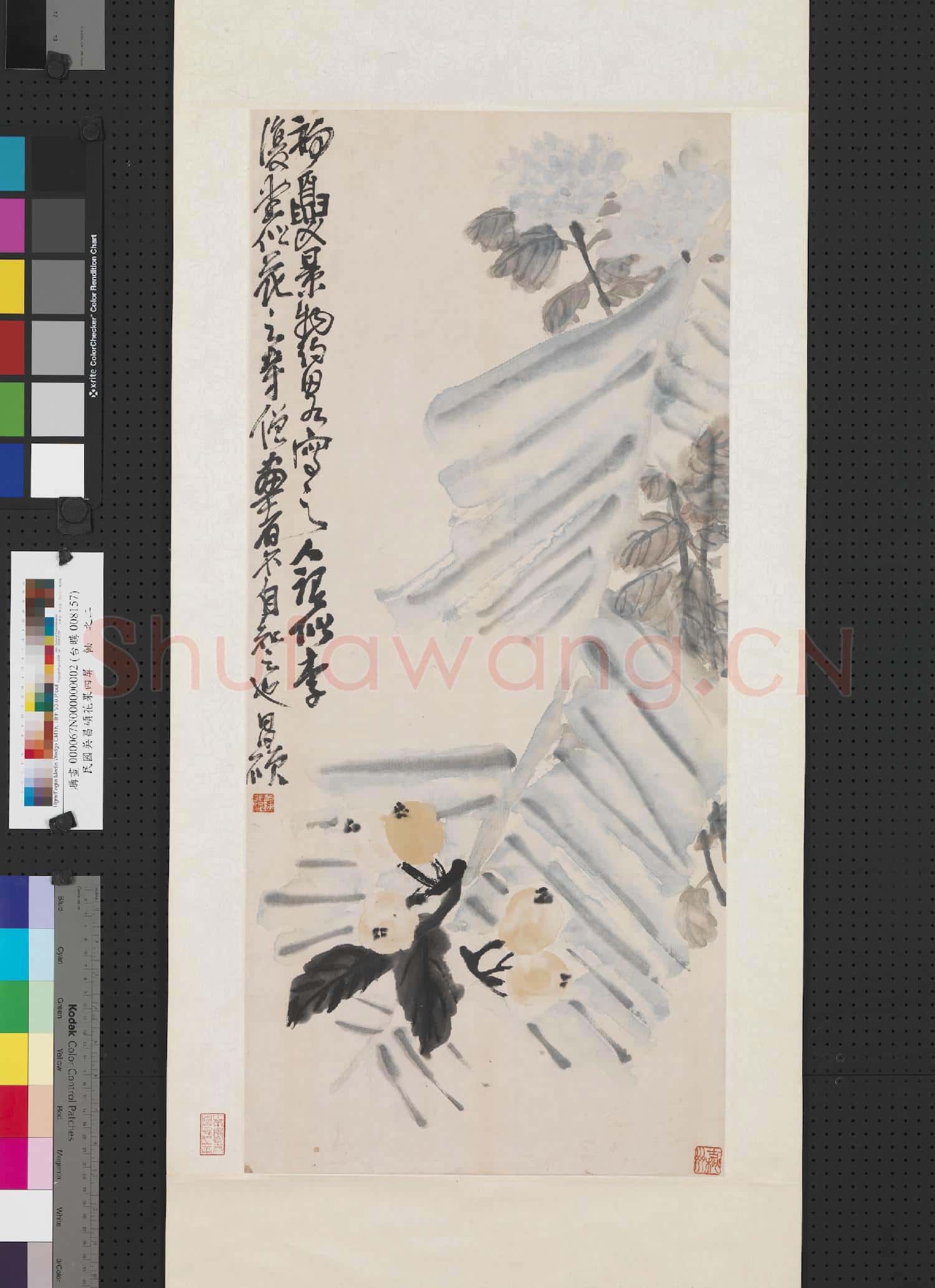 清吳昌碩花果四屏 軸 枇杷芭蕉菊