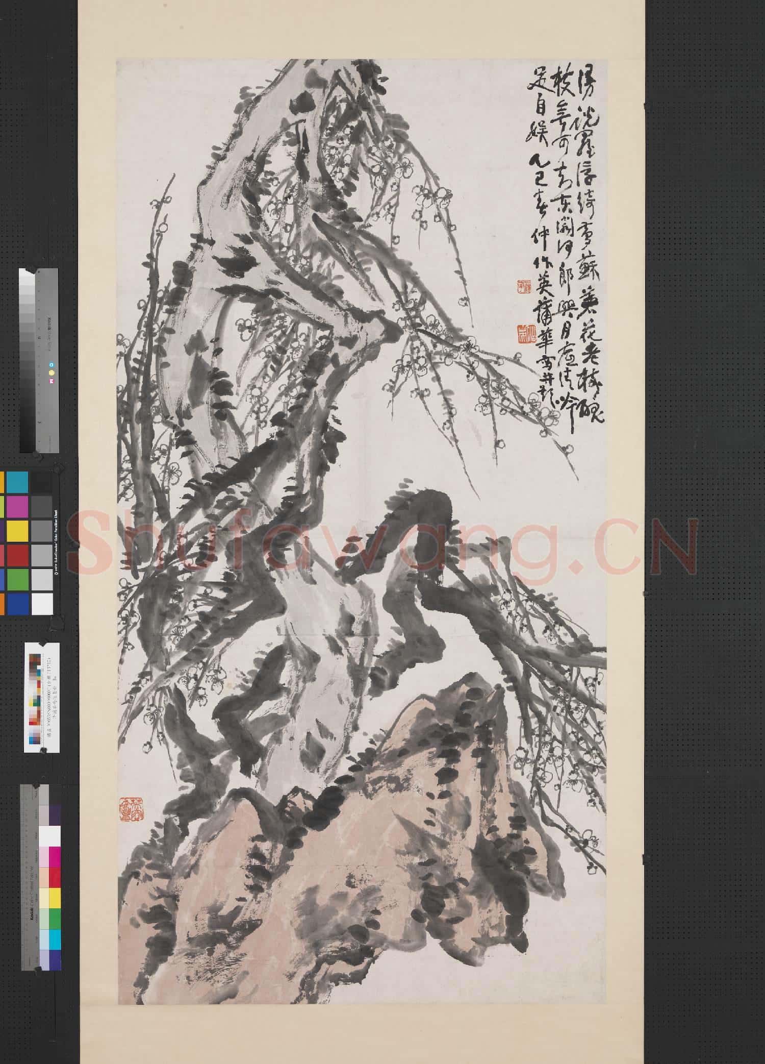 清蒲華梅花老樹 軸