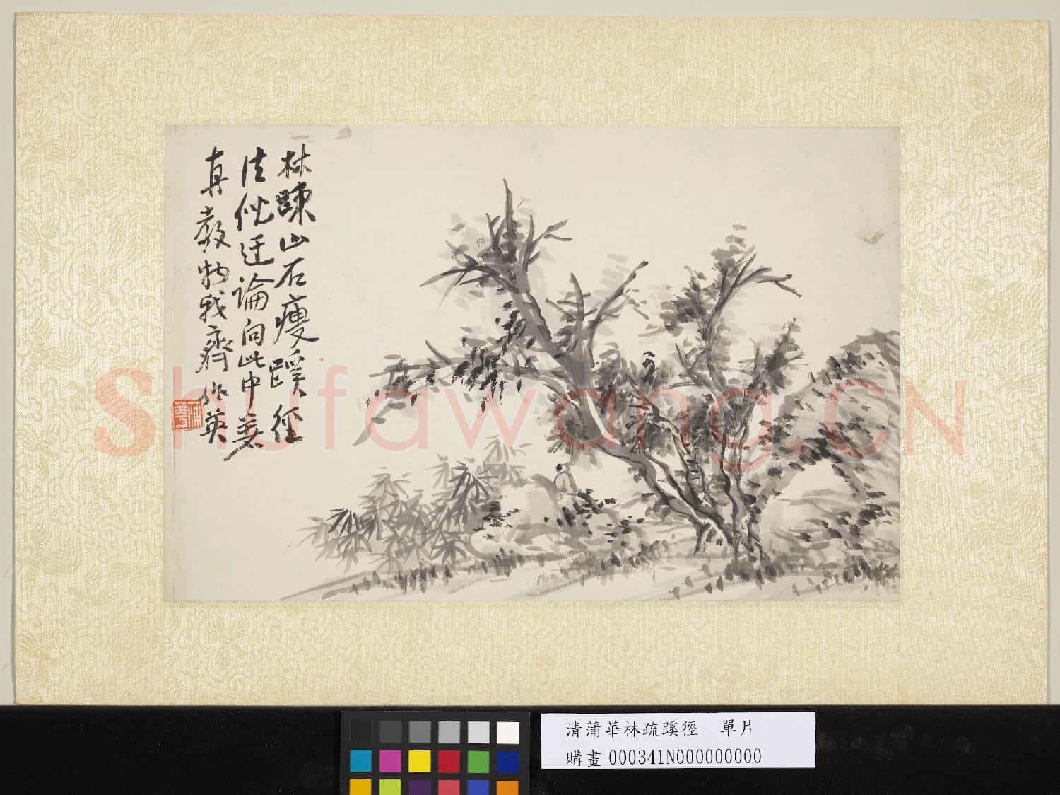 清蒲華林疏蹊徑 單片