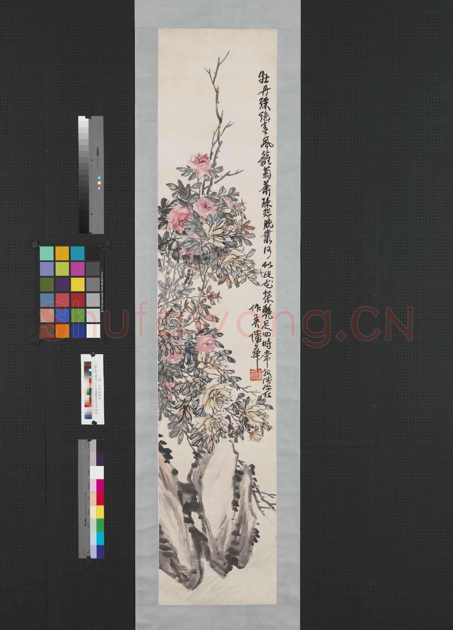 清蒲華牡丹 軸