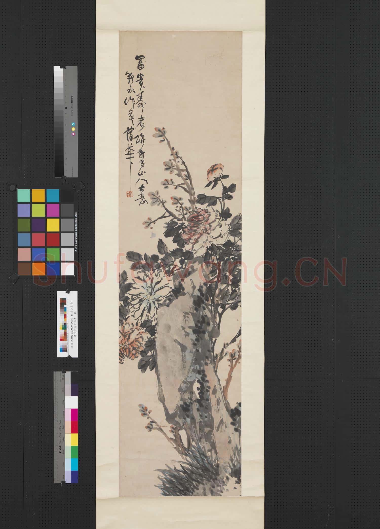 清蒲華富貴壽考 軸