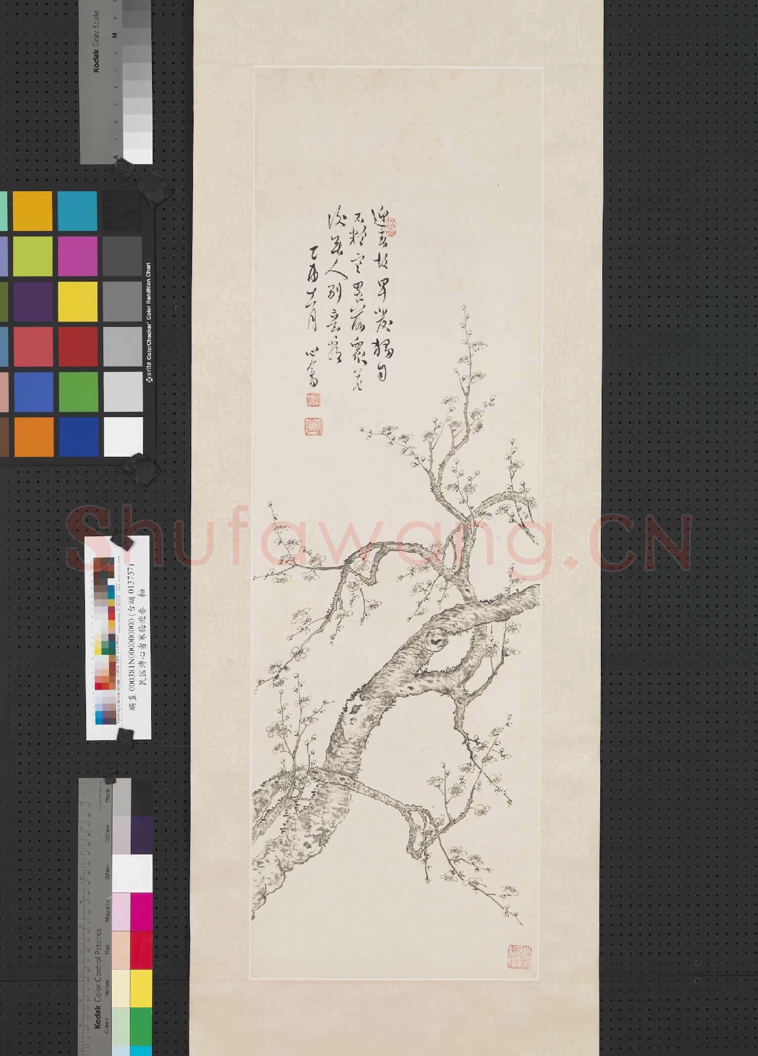 民國溥儒寒梅迎春 軸