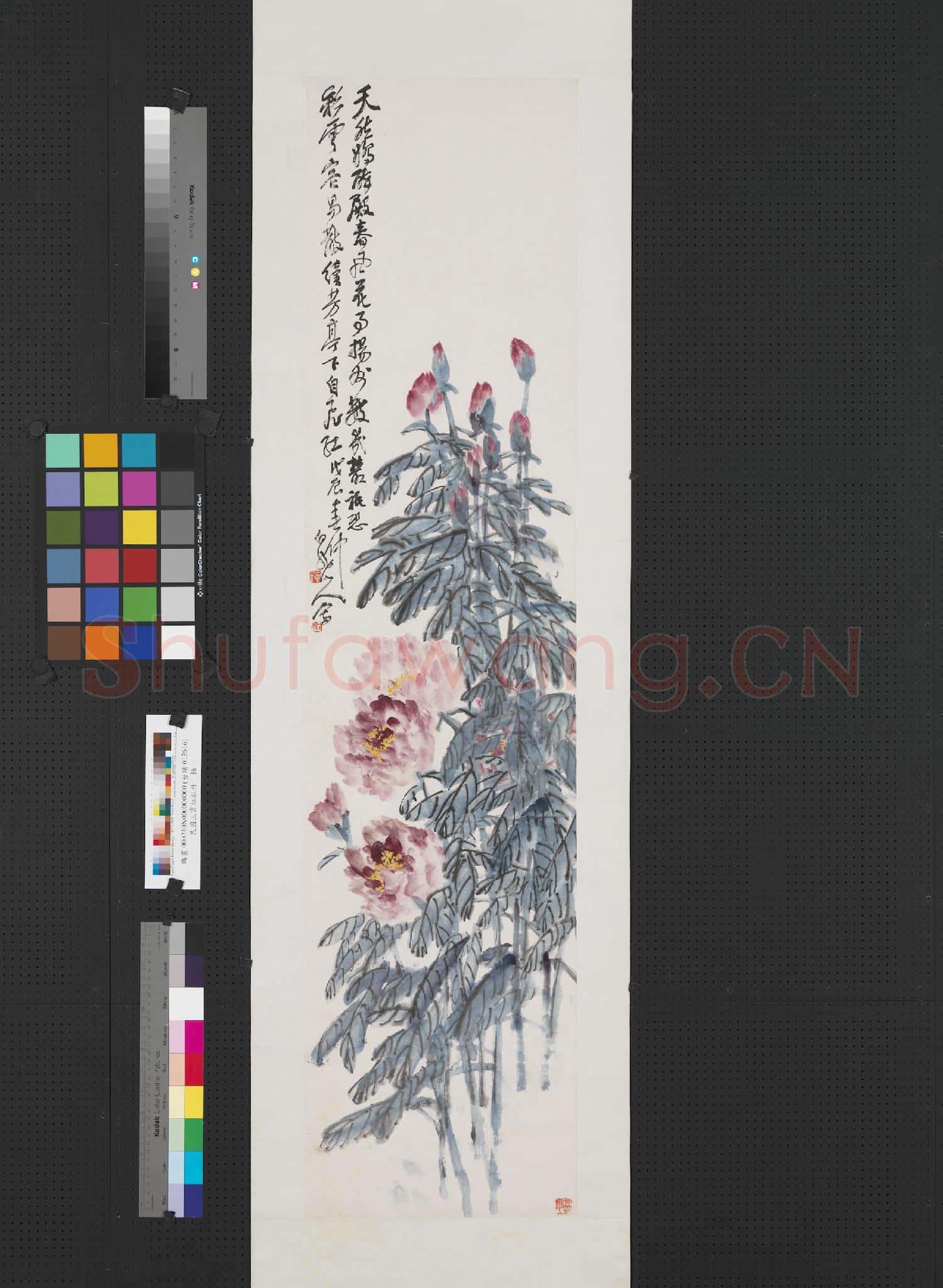 民國王震紅牡丹 軸