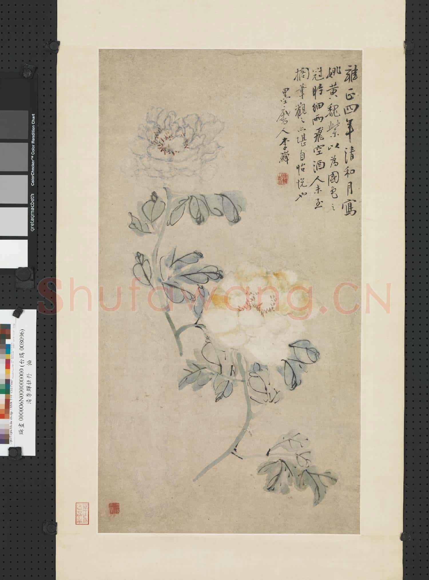 清李鱓牡丹 軸