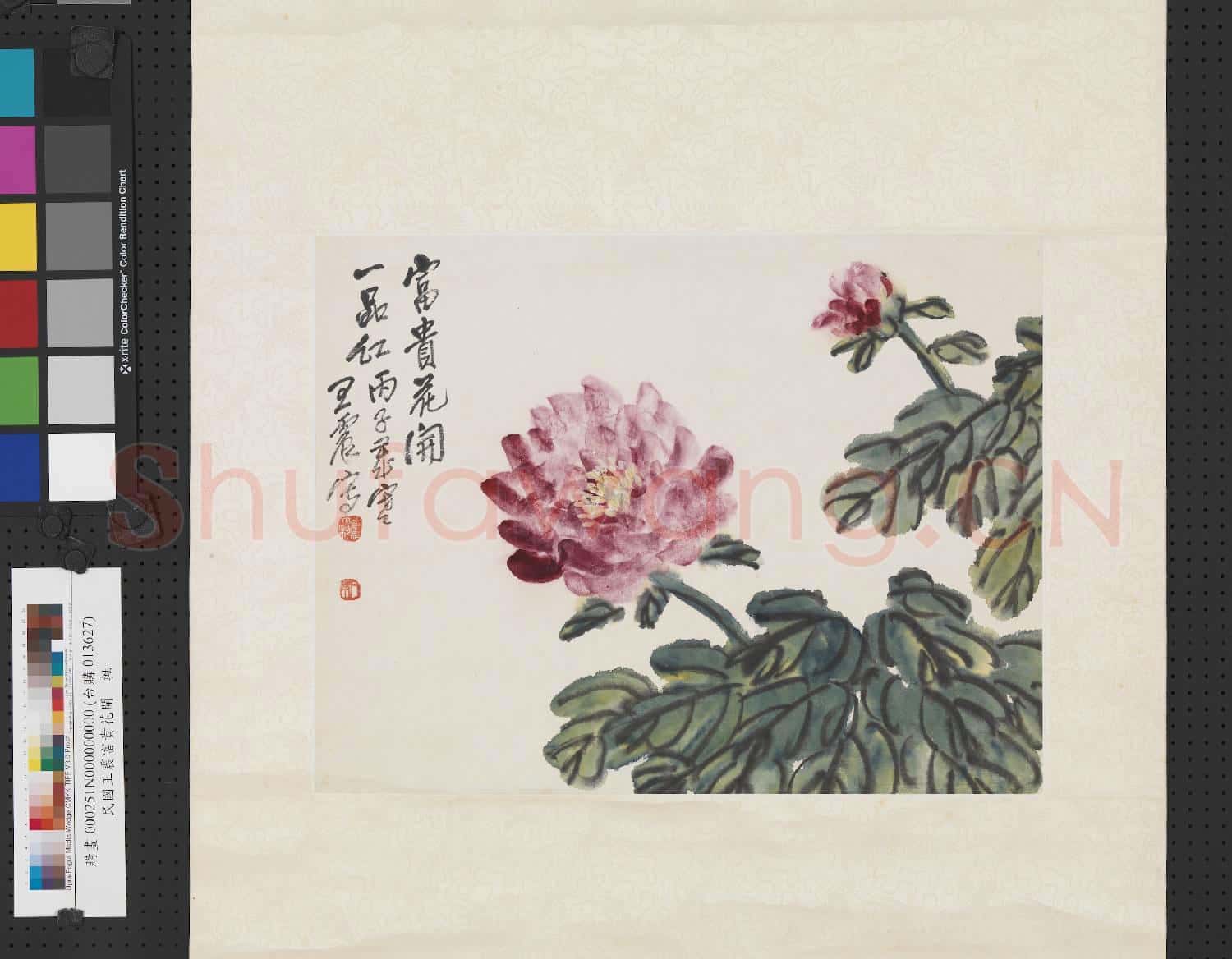民國王震富貴花開 軸