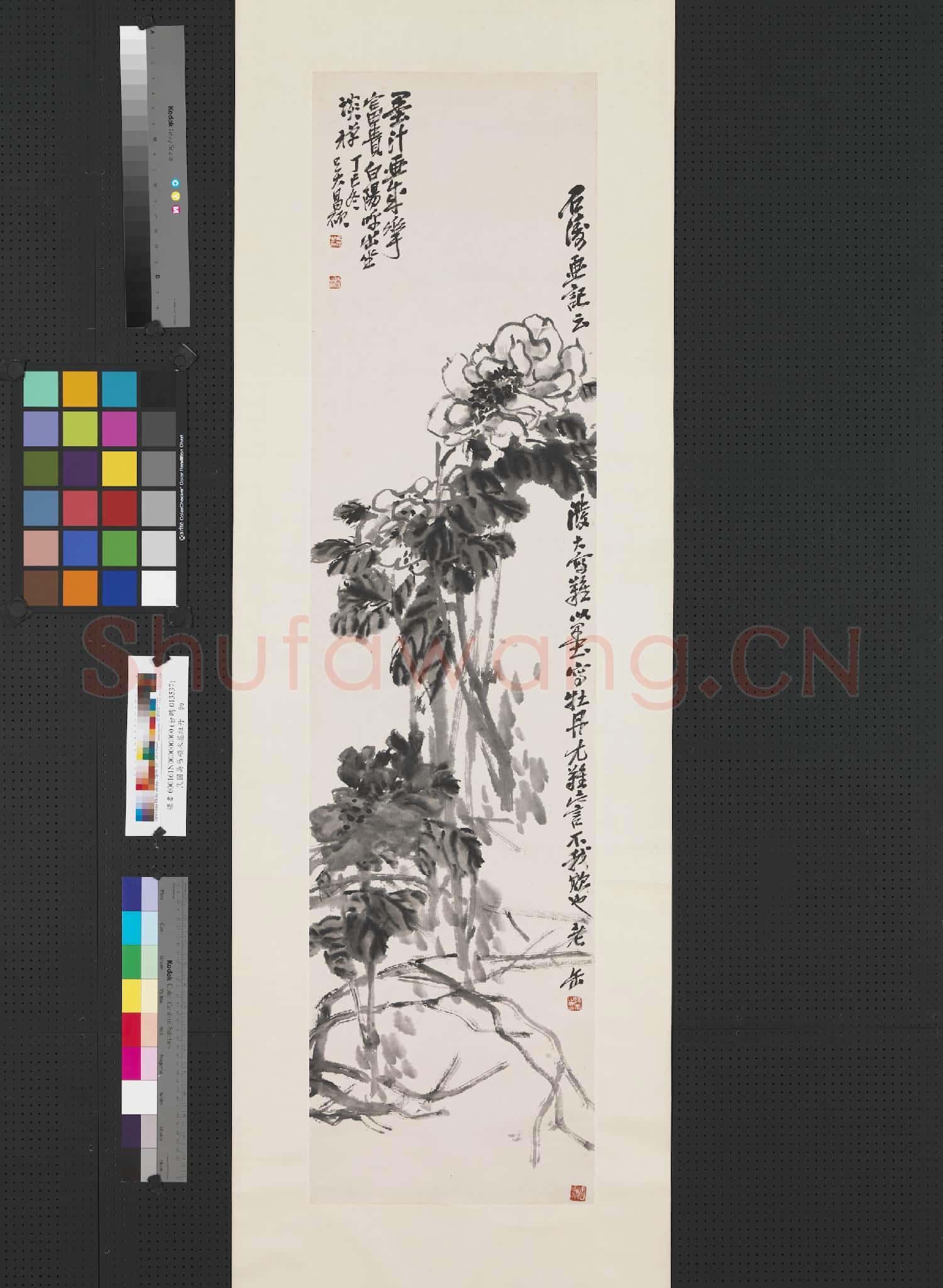 清吳昌碩水墨牡丹 軸