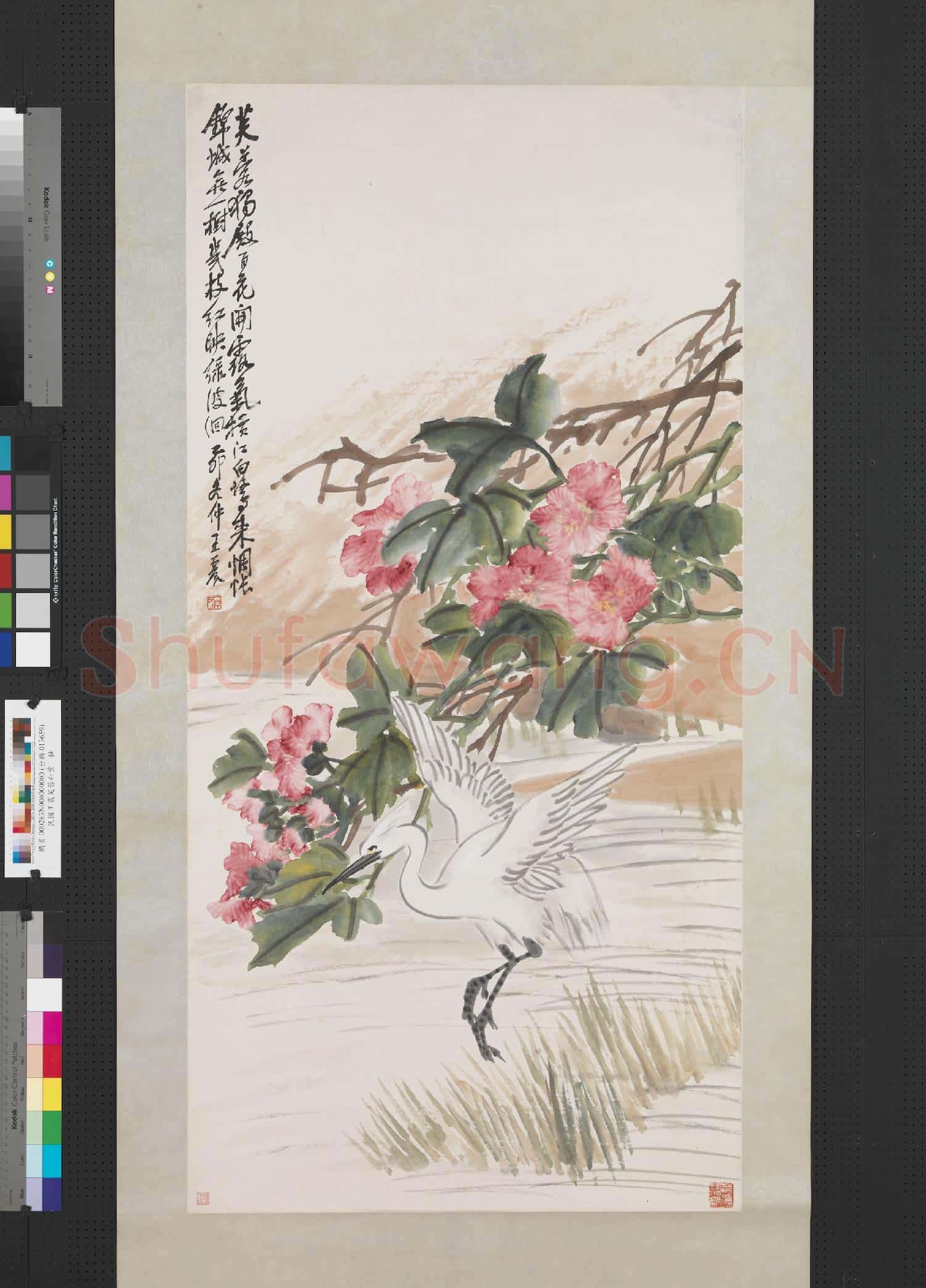 民國王震芙蓉白鷺 軸