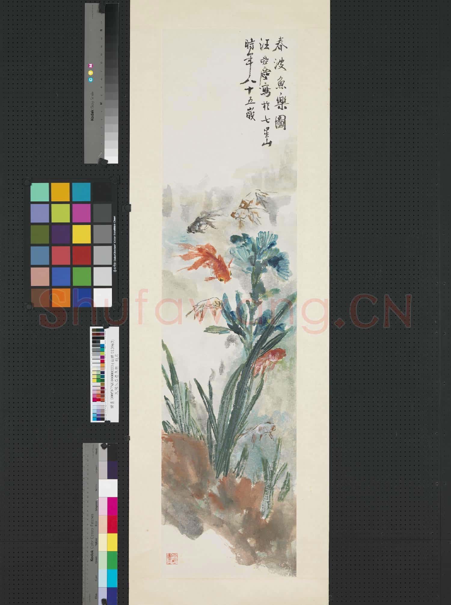 民國汪亞塵魚樂 鏡片