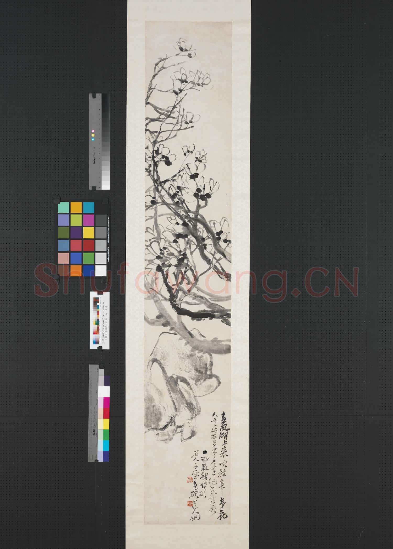 清吳昌碩花卉四屏 軸 木蘭