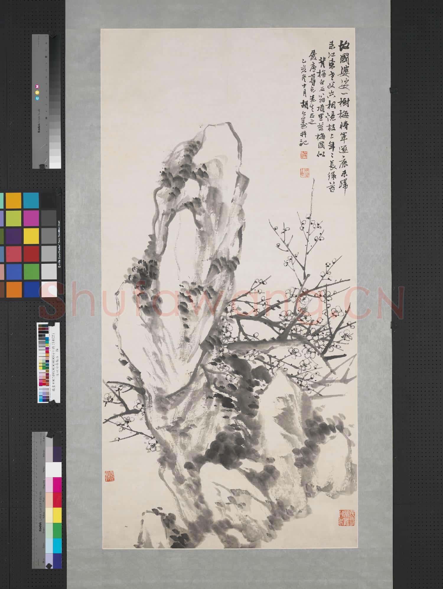 清胡公壽梅石 軸