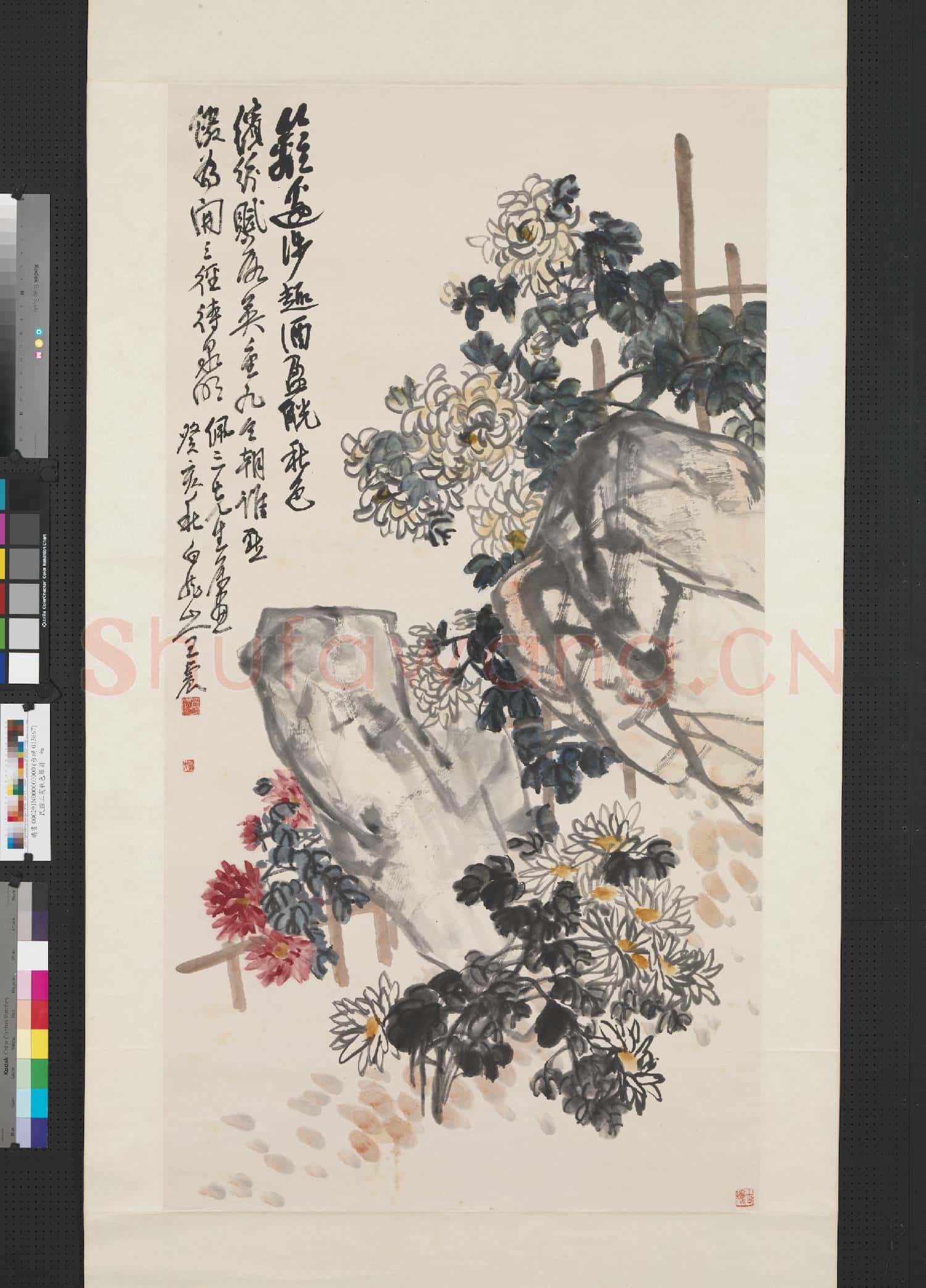 民國王震秋色籬菊 軸
