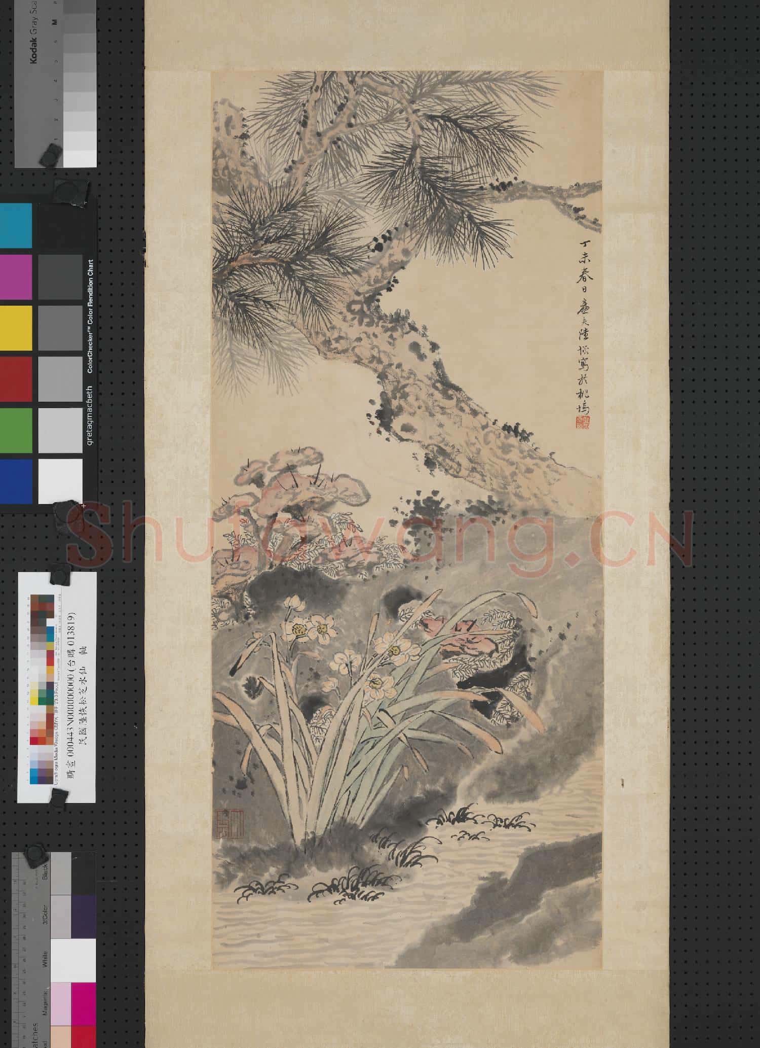 清陸恢松芝水仙 軸