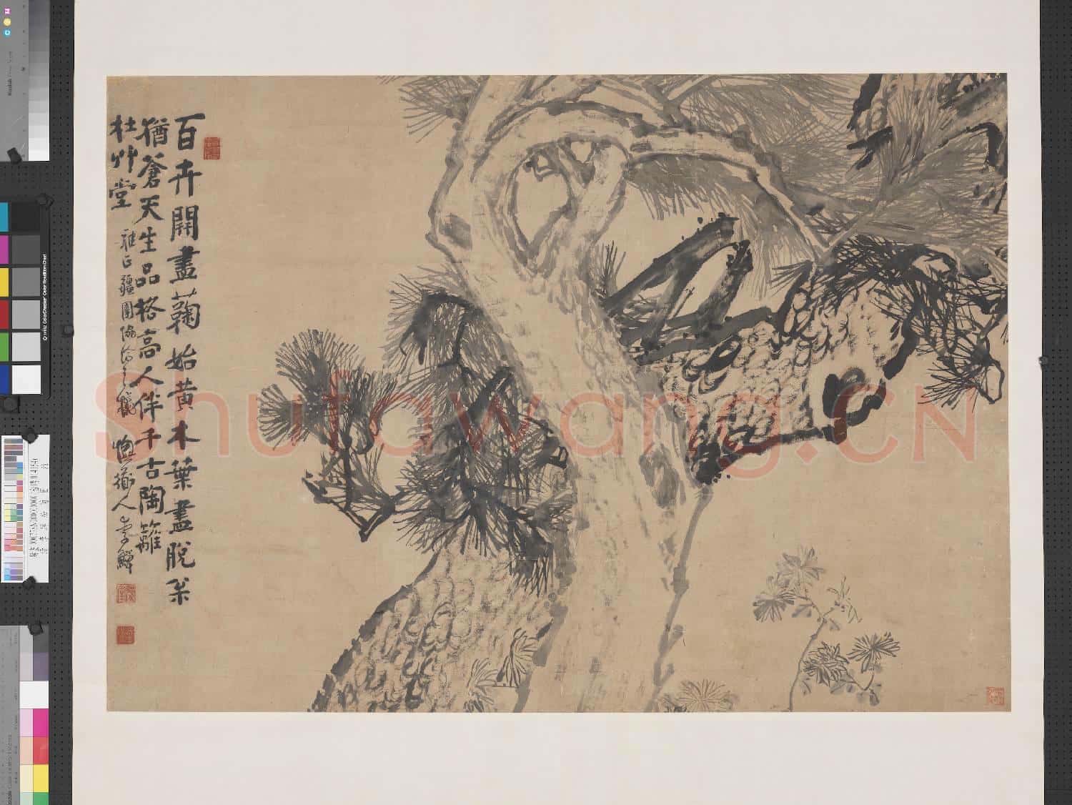 清李鱓松菊圖 軸