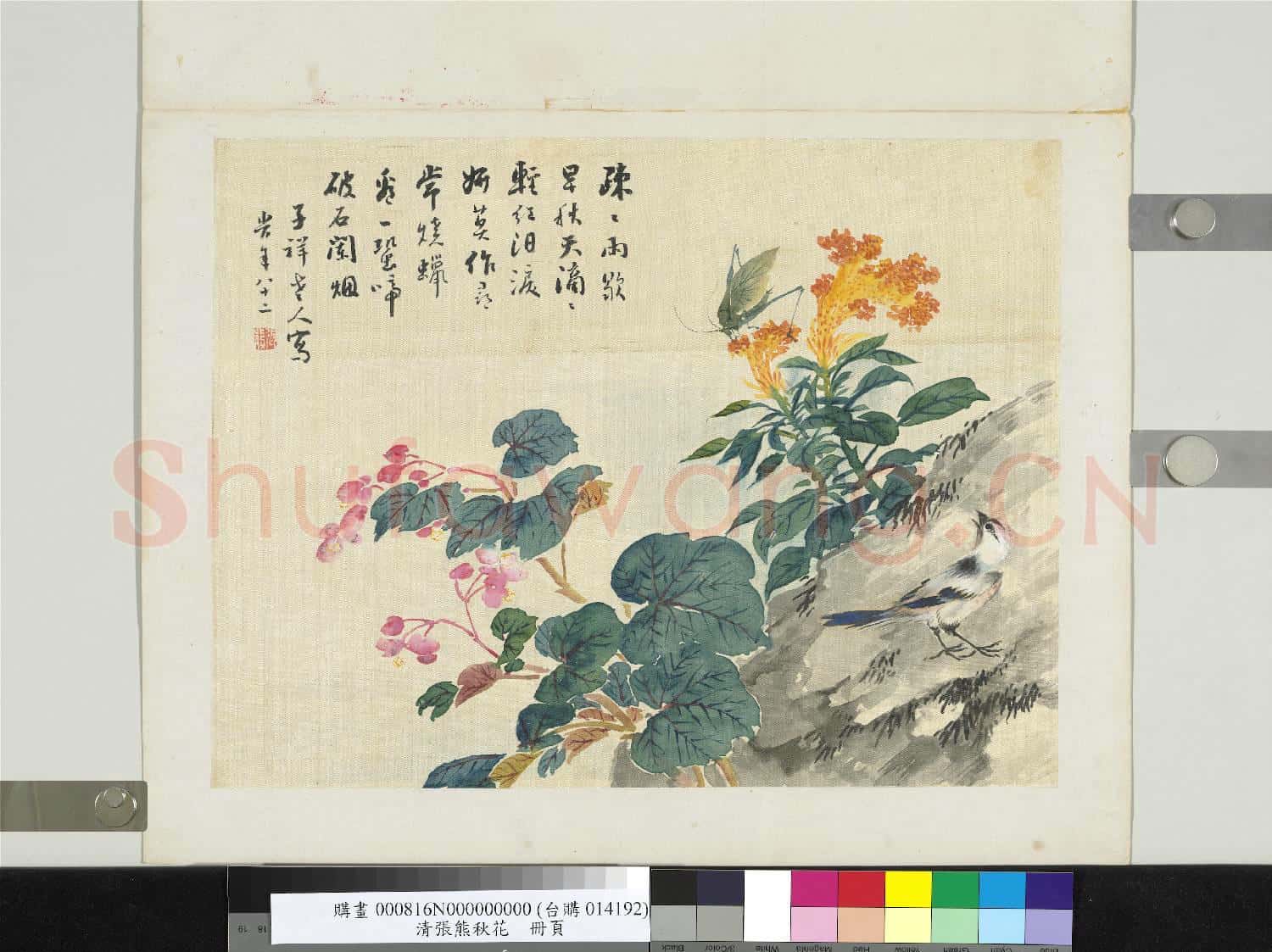 清張熊秋花 冊頁
