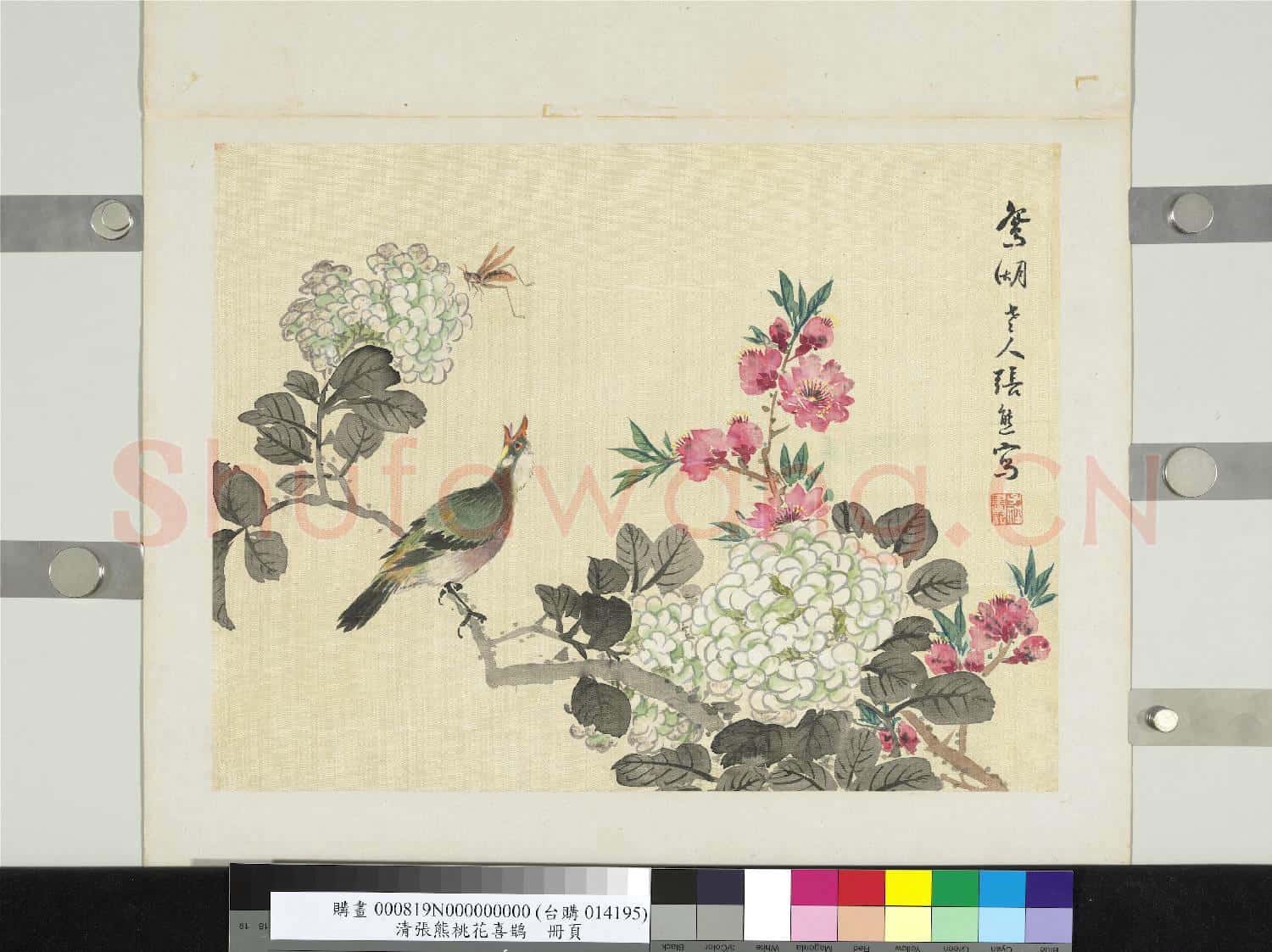 清張熊桃花喜鵲 冊頁