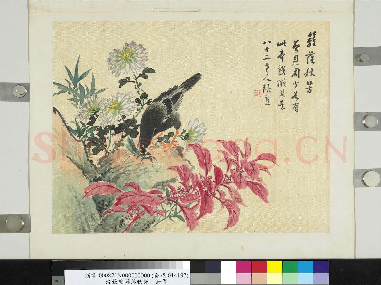 清張熊籬落秋芳 冊頁