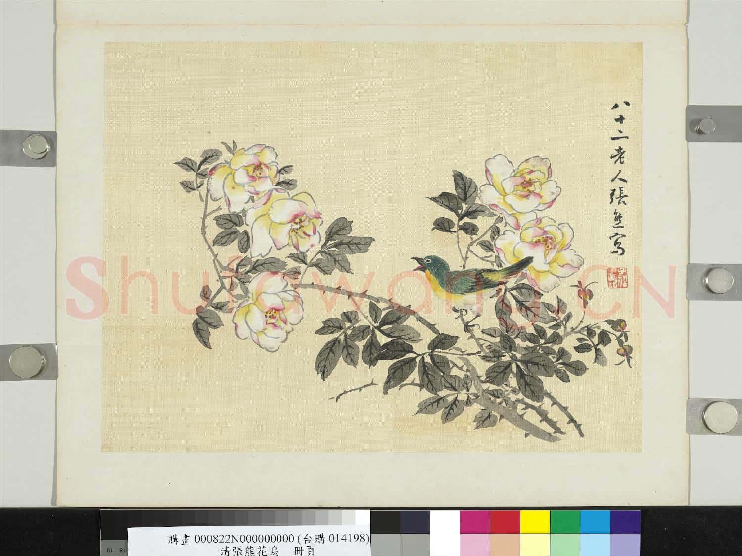 清張熊花鳥 冊頁