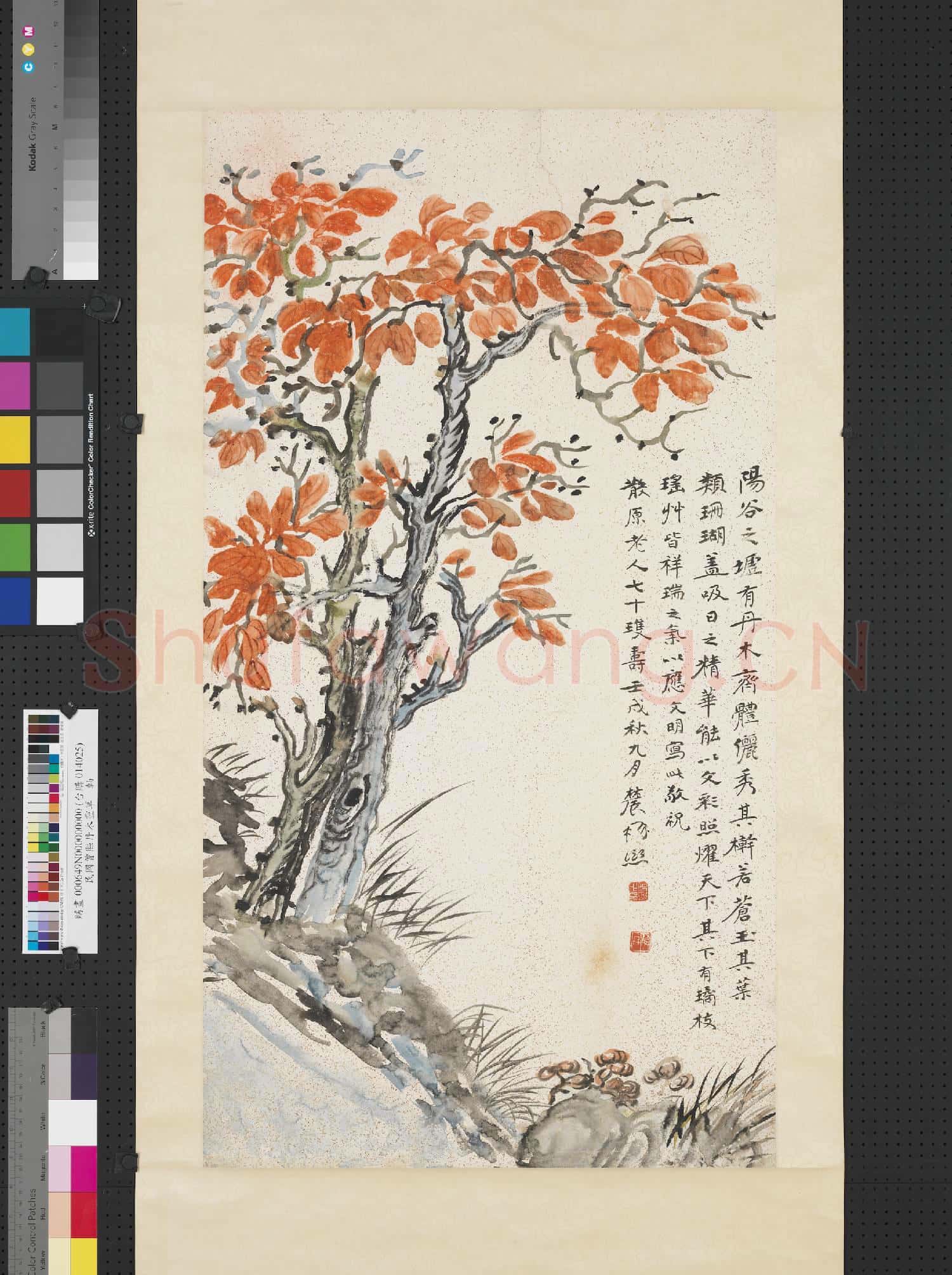 民國曾熙丹木靈草 軸