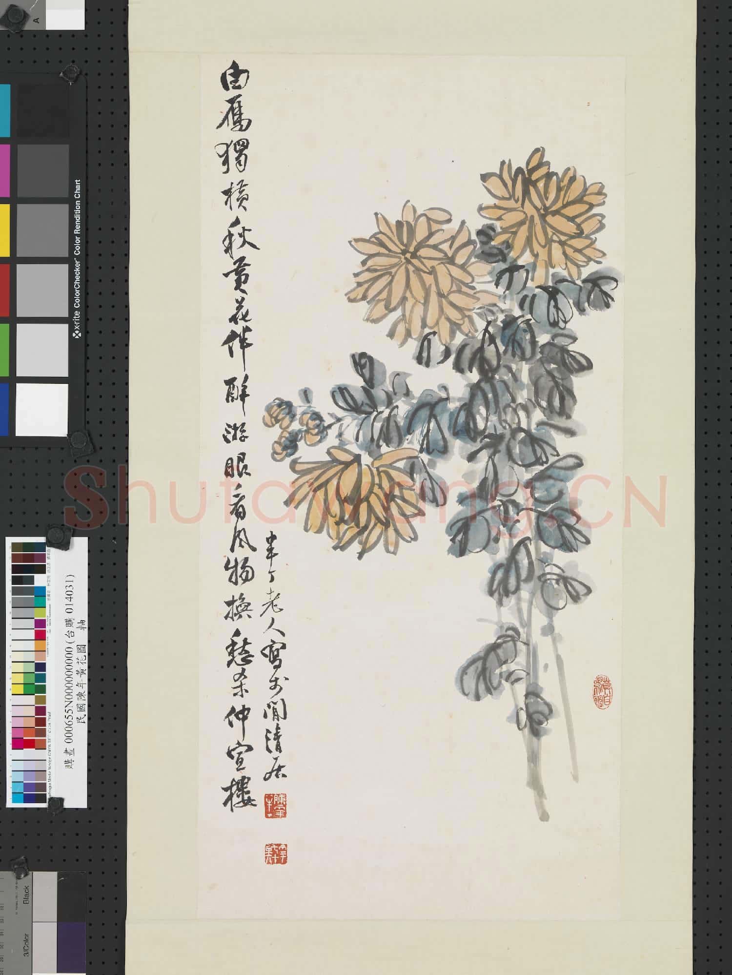民國陳年黃花圖 軸