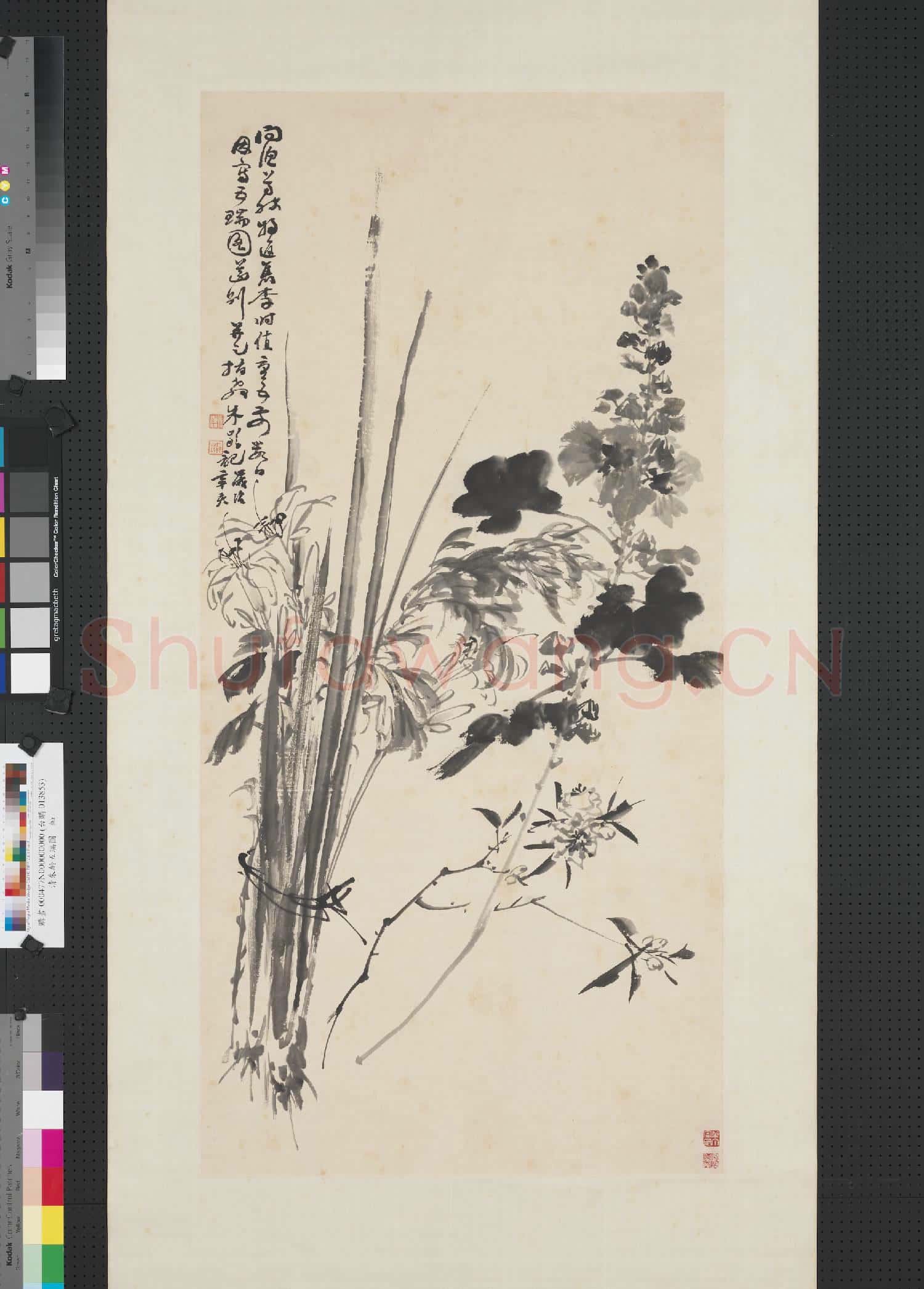 清朱齡五瑞圖 軸