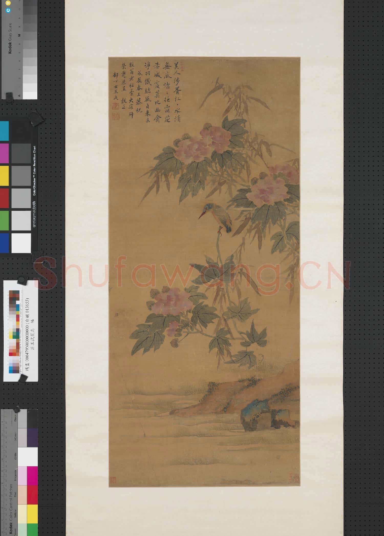 清王武花鳥 軸