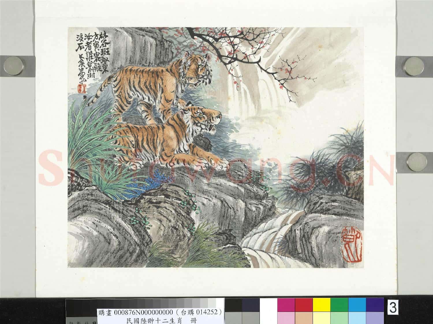 民國合作十二生肖 冊 朱嘉畫虎圖