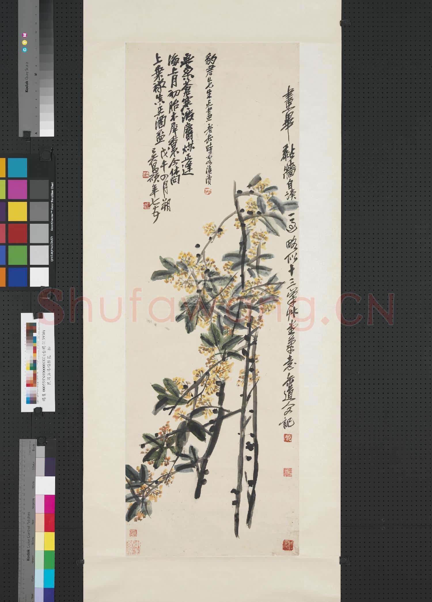 民國吳昌碩桂花 軸