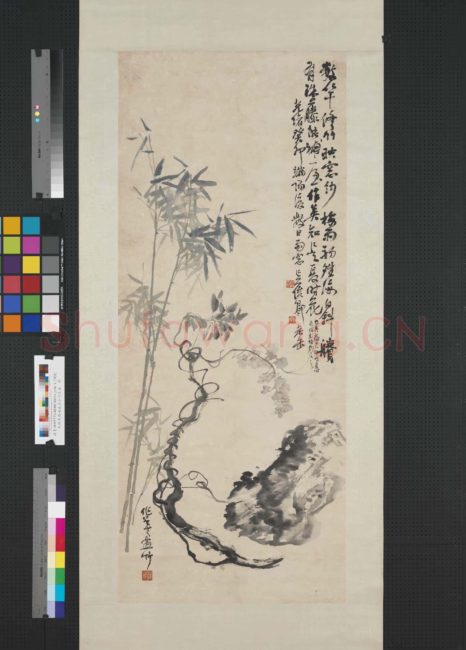 清吳昌碩蒲華合作紫藤 軸
