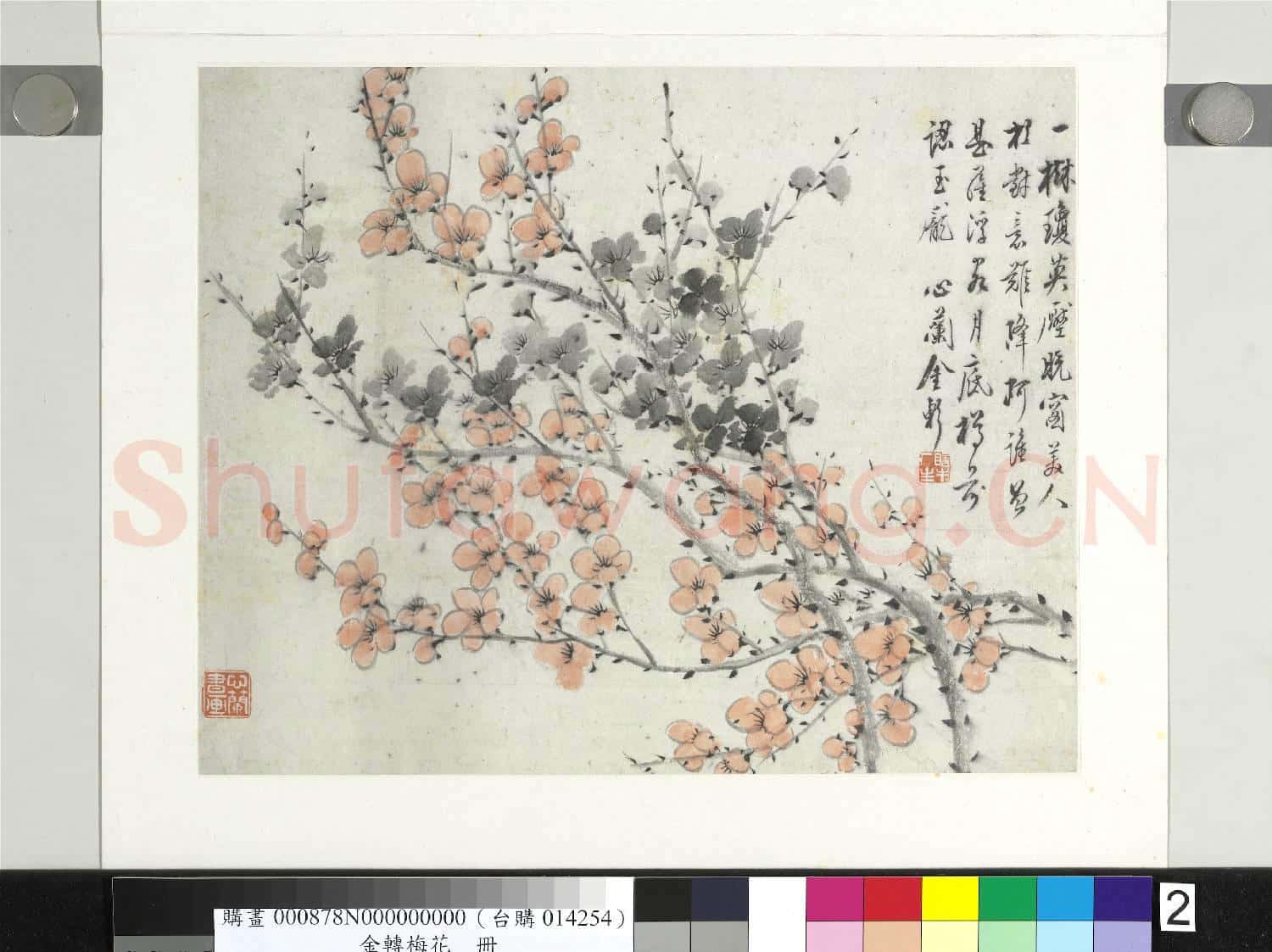 清金斕梅花 冊 一樹瓊英壓晚窗