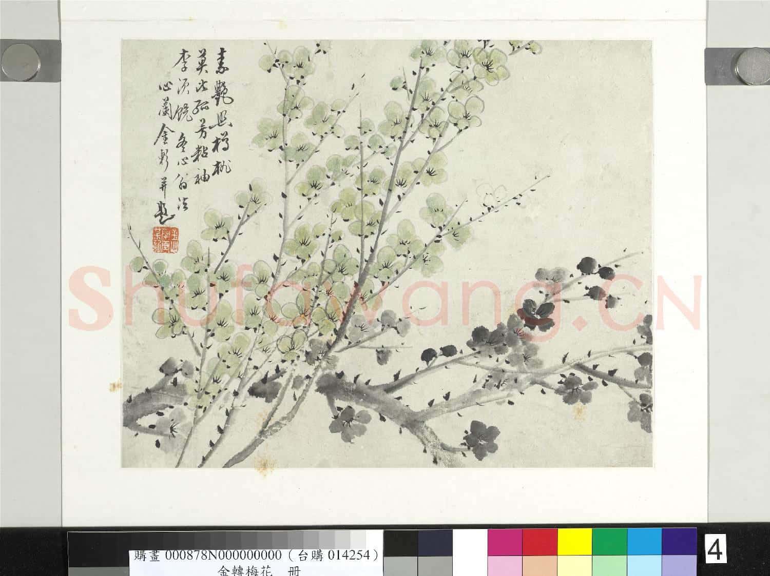清金斕梅花 冊 素豔照樽桃莫比