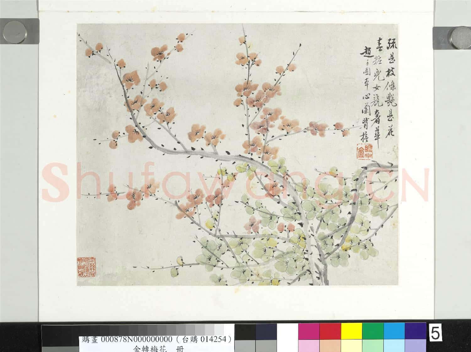 清金斕梅花 冊 疏甚枝條艷是花