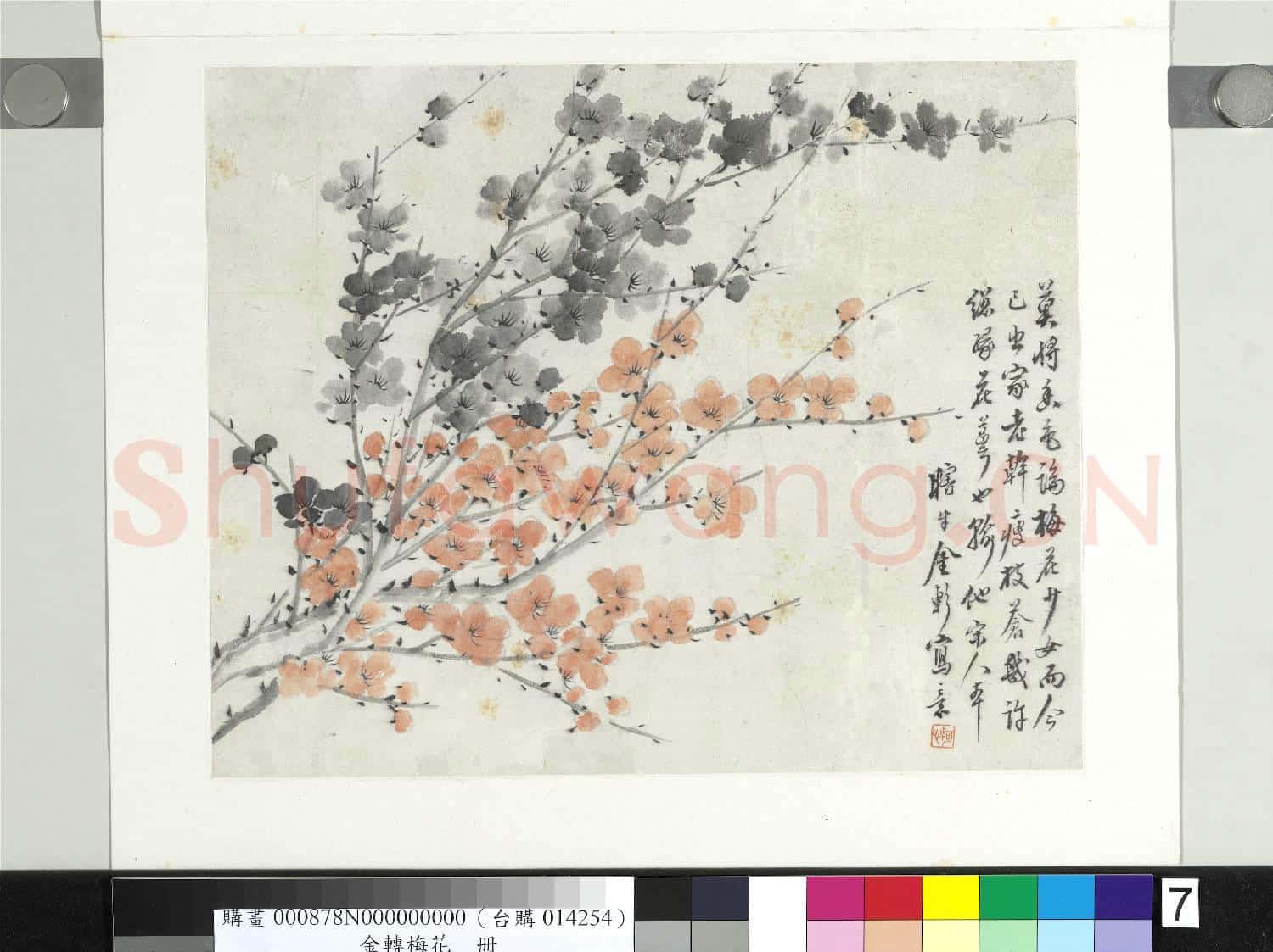 清金斕梅花 冊 莫將香色論梅花