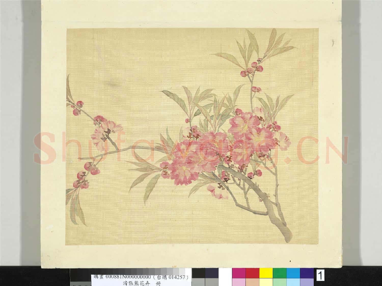 清張熊花卉冊 冊 碧桃花