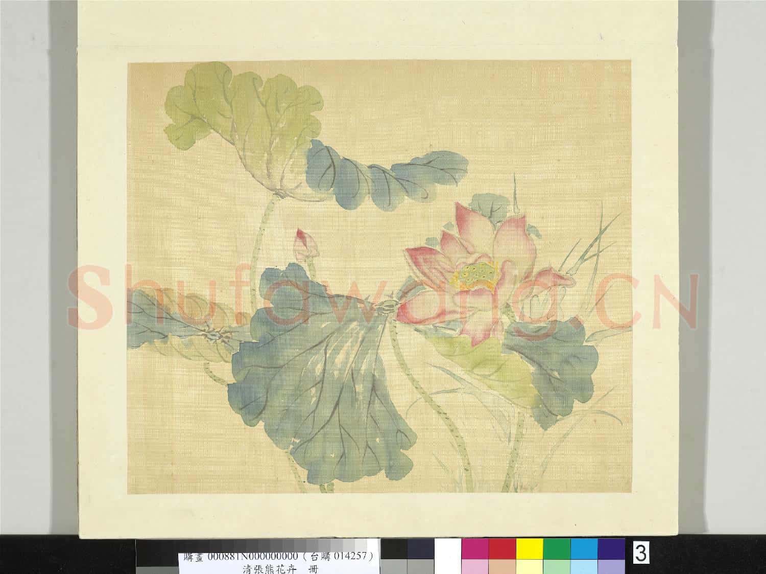 清張熊花卉冊 冊 荷花