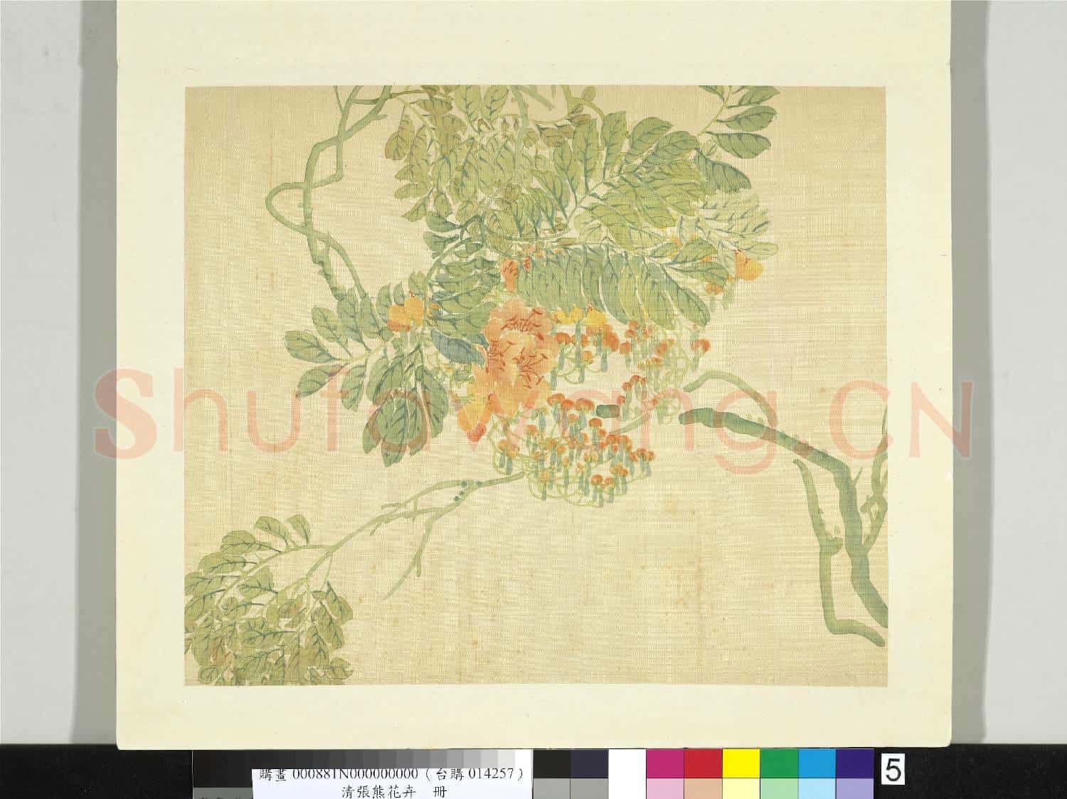 清張熊花卉冊 冊 凌霄