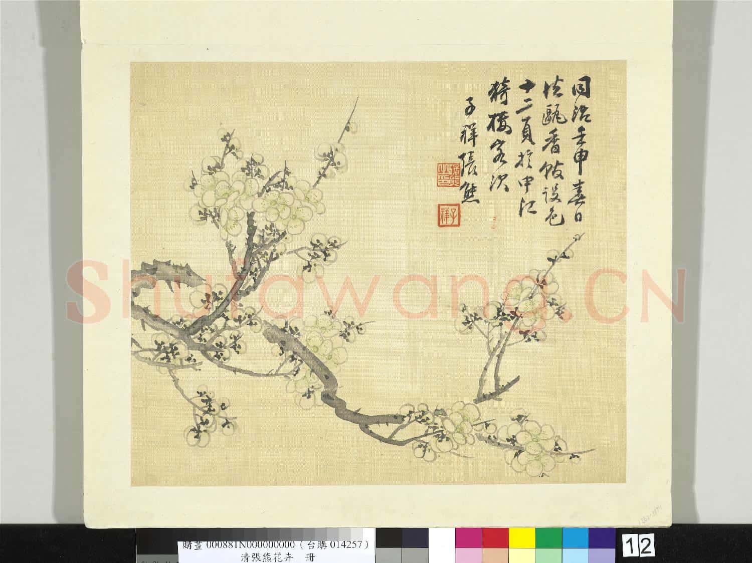 清張熊花卉冊 冊 梅