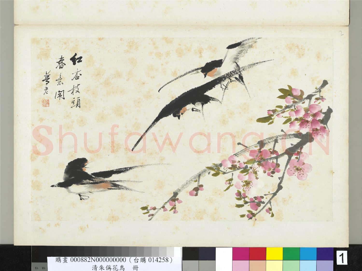 清朱偁花鳥冊 冊 紅杏燕子