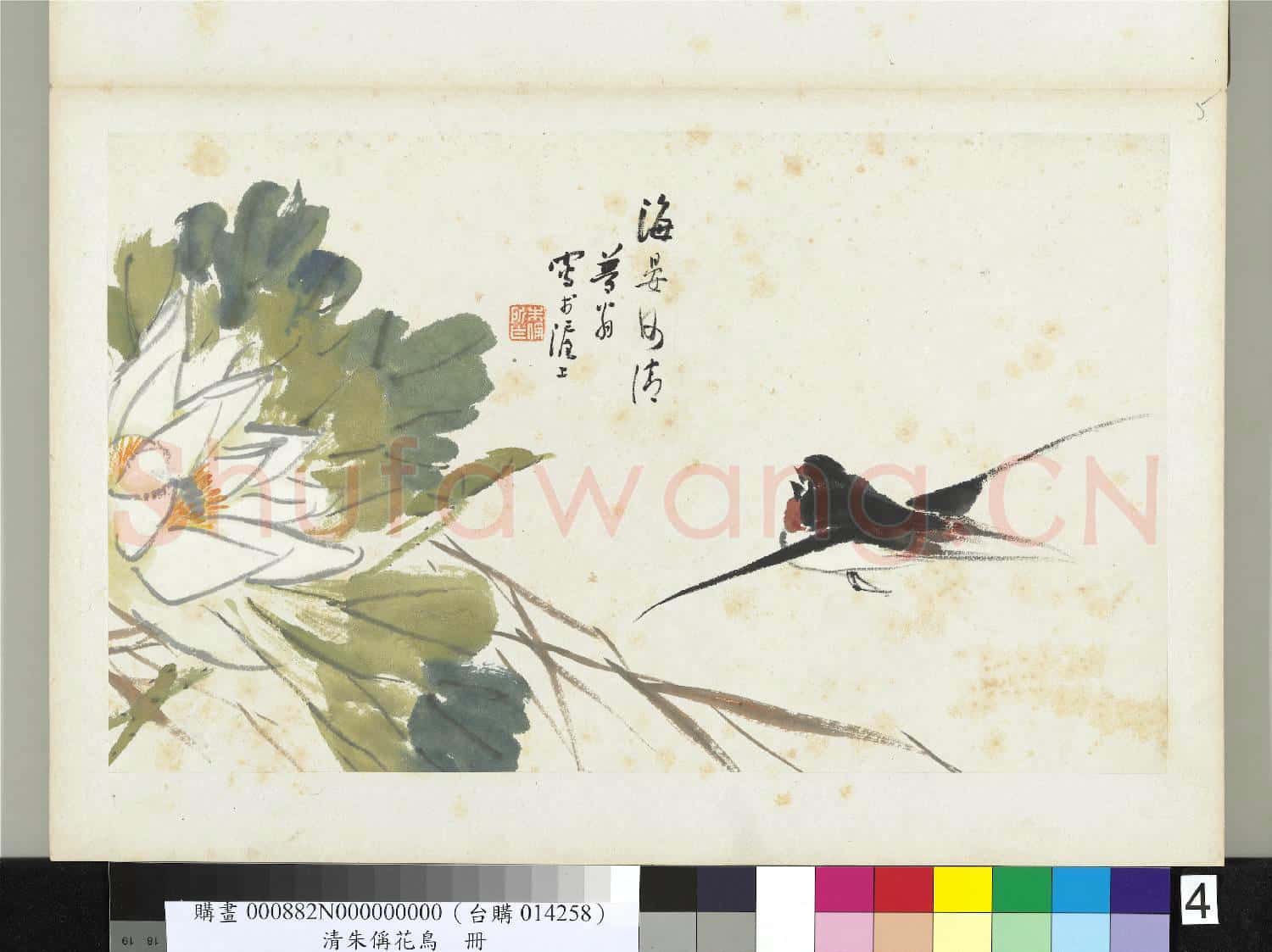 清朱偁花鳥冊 冊 荷花燕子