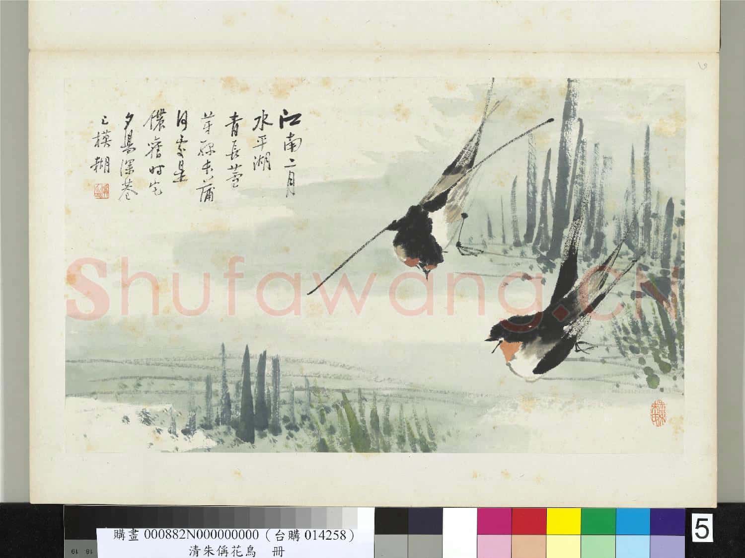 清朱偁花鳥冊 冊 蒲草燕子