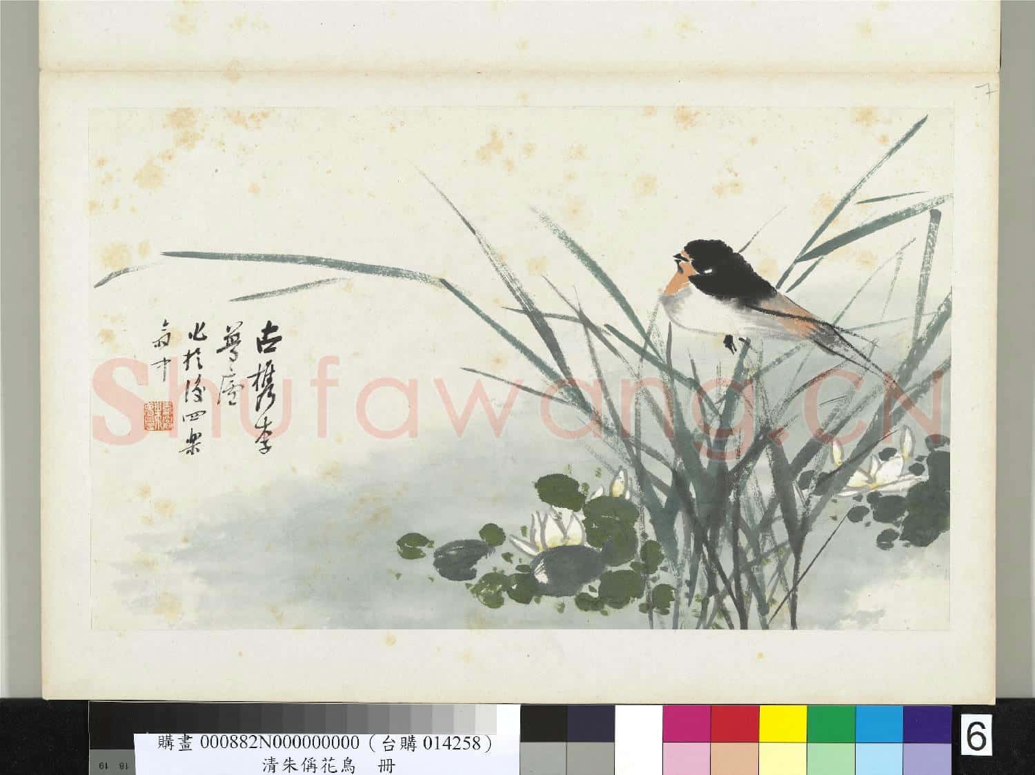清朱偁花鳥冊 冊 蓮花燕子