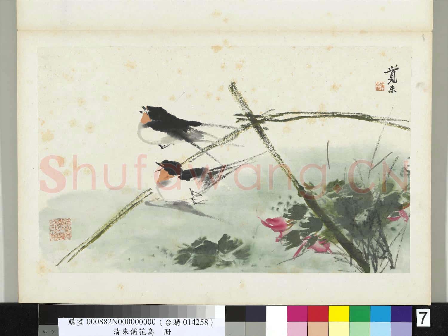 清朱偁花鳥冊 冊 菱角燕子