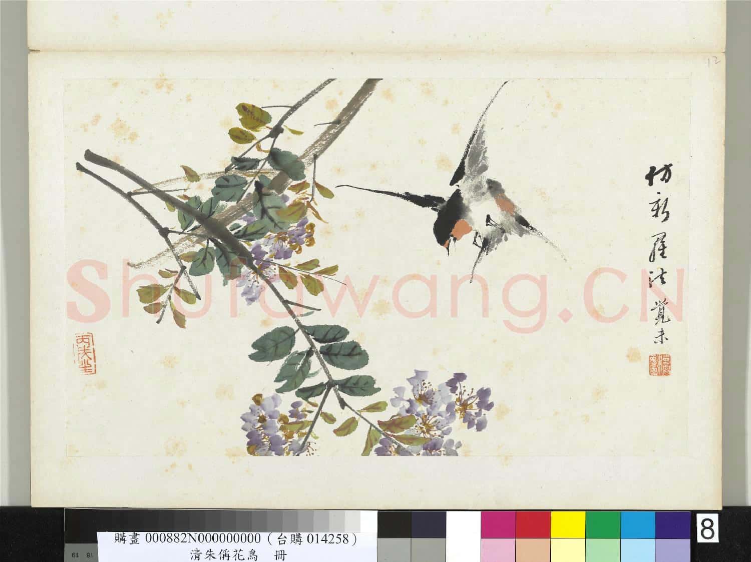 清朱偁花鳥冊 冊 紫薇燕子