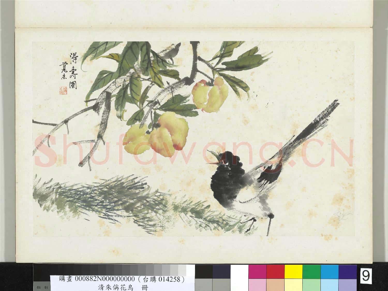 清朱偁花鳥冊 冊 桃子山雀