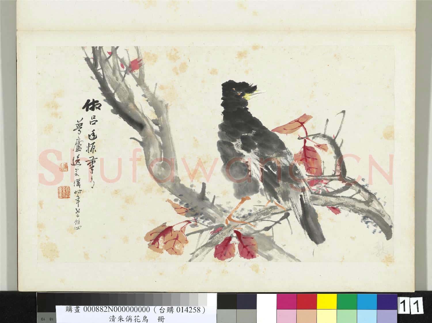 清朱偁花鳥冊 冊 紅葉寒鴉